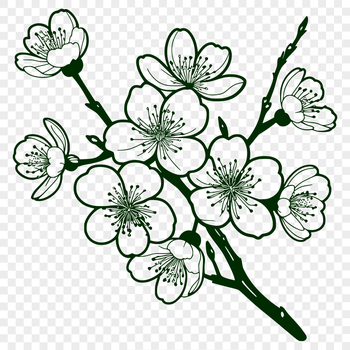 An intricately designed vector art representation of a single cherry blossom flower.
