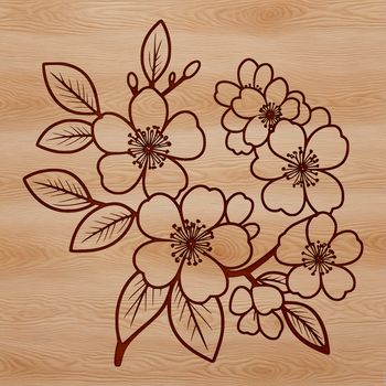 An SVG design featuring a single, intricately detailed cherry blossom in full bloom.