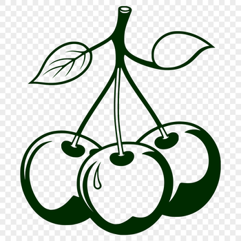 A stylized illustration of a cherry, suitable for digital use and various design applications.