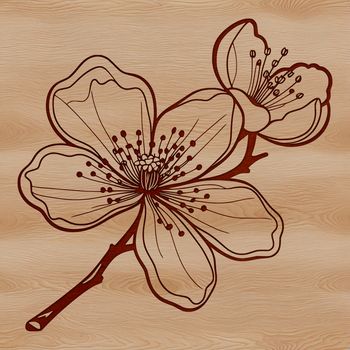 A stylized vector illustration of a cherry blossom tree in full bloom.