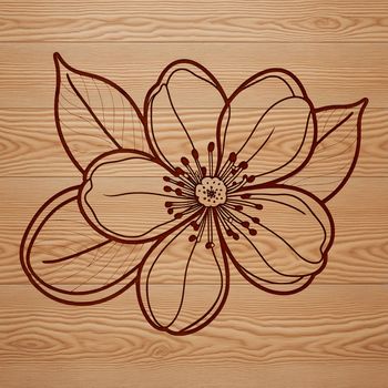 A stylized vector representation of a cherry blossom with delicate petals and green stem.