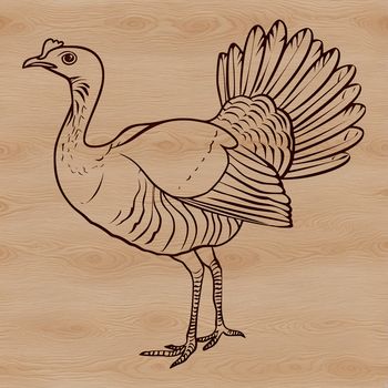 A simple illustration of a farm animal commonly associated with Christmas.