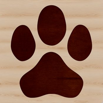 Vector illustration of a single animal paw print in various designs.