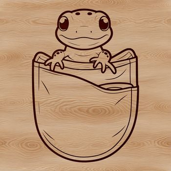 An amphibian salamander in a simple, vector format.