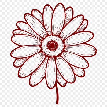 A high-resolution illustration of a daisy flower in vector format.
