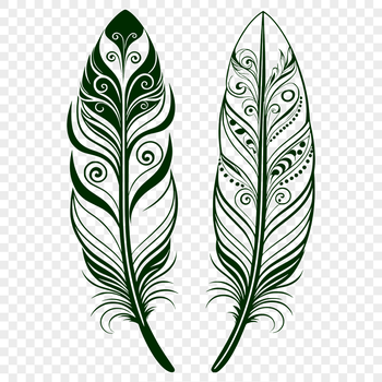 An illustration of a single feather with clean lines and simple design.