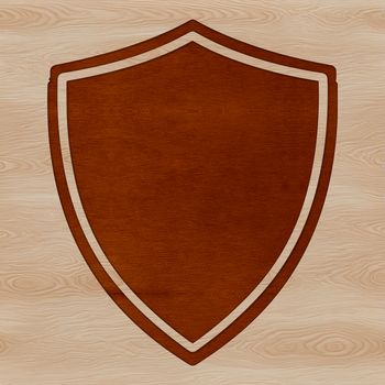 A graphic illustration of a shield made from vector art.