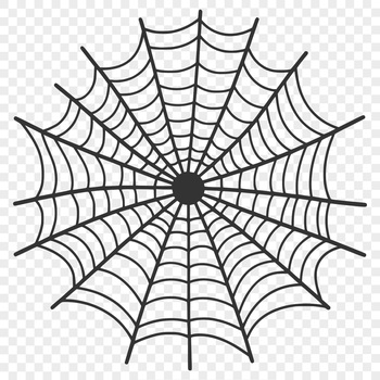 A detailed illustration of a delicate spider web made up of intricate lines and shapes.