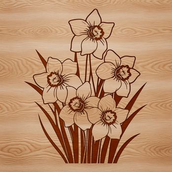 Close-up illustration of a single daffodil flower in full bloom.