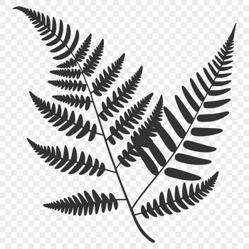 A single green leaf with curved veins, suitable for vector designs.