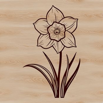 A vector graphic representation of a single blooming daffodil in a floral arrangement.