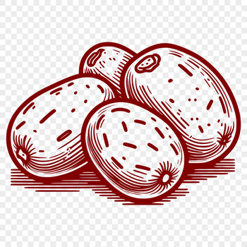 A stylized illustration of a potato, suitable for graphic design projects requiring vector images.
