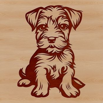 A small, fluffy dog breed with a distinctive beard, sitting on its haunches.