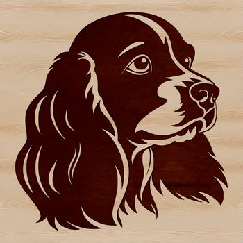Close-up illustration of a Cocker Spaniel's head, suitable for vector design projects.