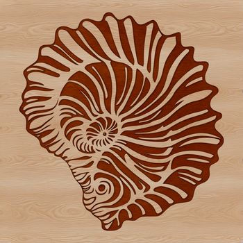 A stylized illustration of a seashell, suitable for vector art designs and cutting machine projects.