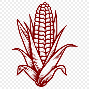A detailed illustration of a corn kernel, suitable for vector graphic design and cutting machine stencils.
