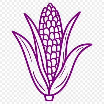 A stylized illustration of a corn on the cob, suitable for graphic design projects.