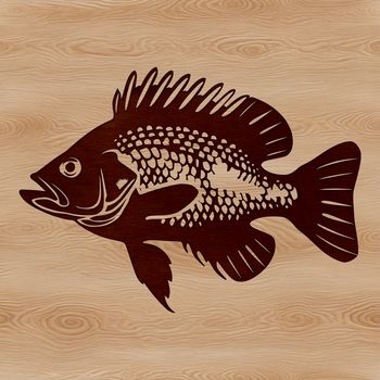 A detailed illustration of a Crappie fish, suitable for vector art and cutting machine designs.