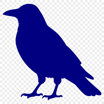 A silhouette illustration of a crow in detail, suitable for commercial use.