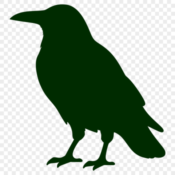 A black bird with a glossy sheen, perched on a branch, characteristic of the crow species.