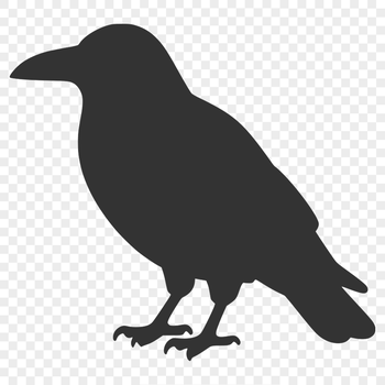 A minimalist vector graphic representation of a crow.