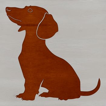 A sitting dachshund breed dog with a short body.