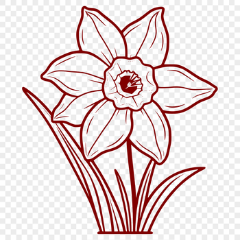 A simple illustration of a daffodil flower in bloom.