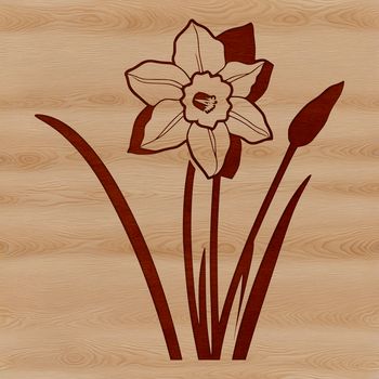 A realistic illustration of a daffodil flower in a green stem, suitable for vector graphics.