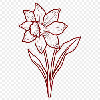 A yellow daffodil flower with white trumpet-shaped center, ideal for crafting and design projects.