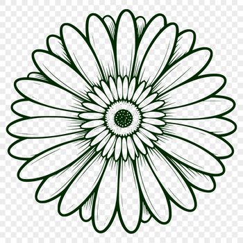 A detailed illustration of a daisy flower with petals and center, designed as vector art.