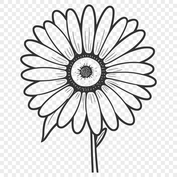 A simple daisy flower design in vector format.