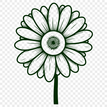A simple illustration of a single daisy flower with white petals and a yellow center.