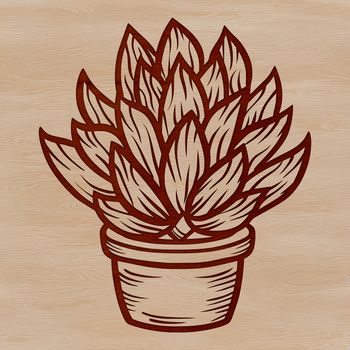 A vector design of a single stemmed succulent plant with rosettes of green leaves.
