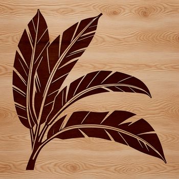 A detailed vector illustration of a single leaf with intricate details, suitable for digital design projects.