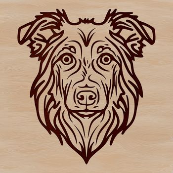 Image of an Australian Shepherd dog breed in vector format.