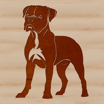 A detailed illustration of a standing Boxer dog breed.