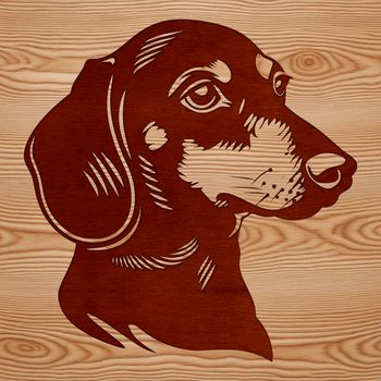 An isolated vector image of a Dachshund's head.