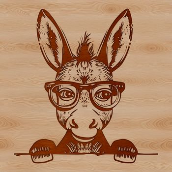 A donkey with glasses peeking out from behind something.