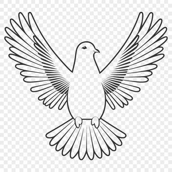 A white dove perched on a branch, symbolizing peace and freedom.