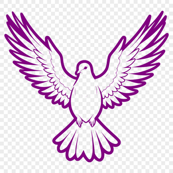 A white dove with outstretched wings on a clean design background.