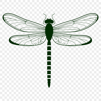 A colorful illustration of a dragonfly with iridescent wings and body.