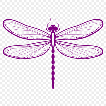A high-resolution vector illustration of a dragonfly in flight.
