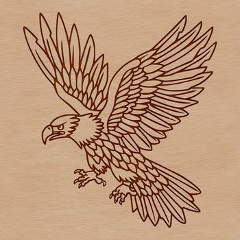 An eagle in flight, depicted as a vector illustration with detailed feathers and wings.