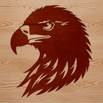 A detailed illustration of a bird's head with sharp talons and feathers, suitable for vector art and design.