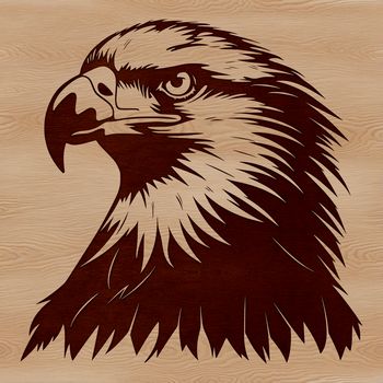 A detailed illustration of an eagle's head, showcasing its sharp features and feathers.