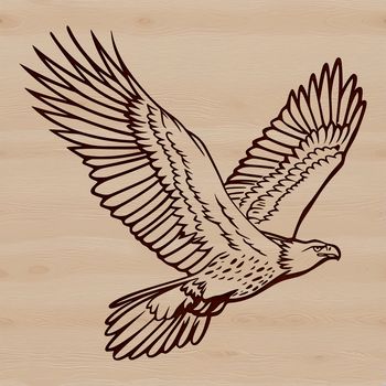 A free eagle clip art illustration created in vector format.