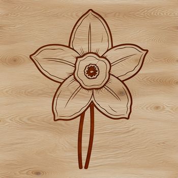 A single white daffodil flower with golden trumpet-shaped petals, growing in a field surrounded by green foliage.