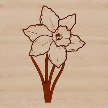A stylized illustration of a daffodil plant in full bloom, featuring a bright yellow trumpet surrounded by six white petals.