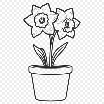 Illustration of a bright yellow daffodil plant with three trumpet-shaped flowers, set against a plain background.
