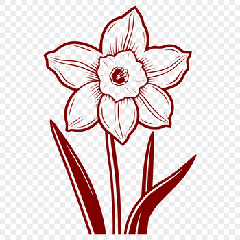A simple line drawing of a daffodil flower with six petals, suitable for vector art designs.